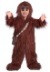 Deluxe Chewbacca Toddler Costume