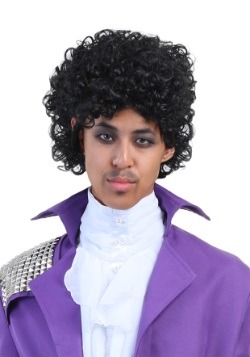 Men's Purple Rock Legend Wig