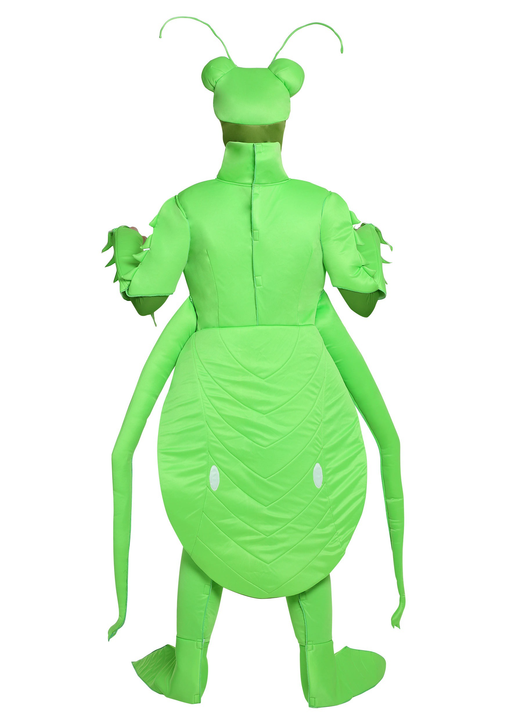 Praying Mantis Men's Costume