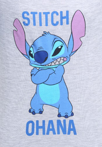 stitch spirit animal