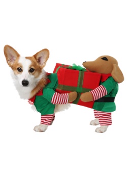 Santas Little Helper Dog Costume