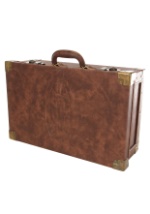 Newt Scamander Briefcase Alt 2