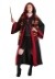 Hermione Plus Size Women's Costume