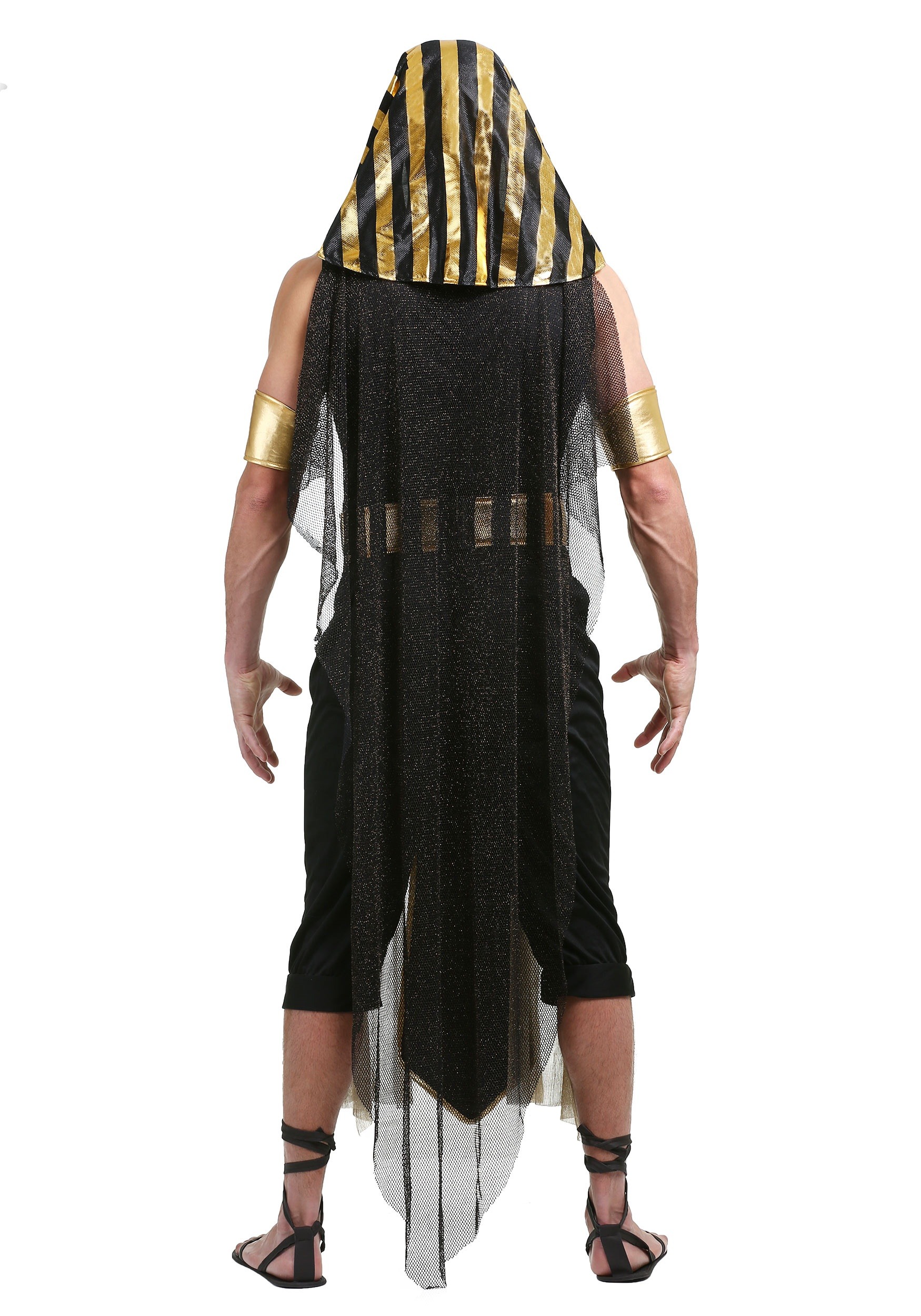 All Powerful Pharaoh Plus Size Costume , Men's Plus Size Costumes
