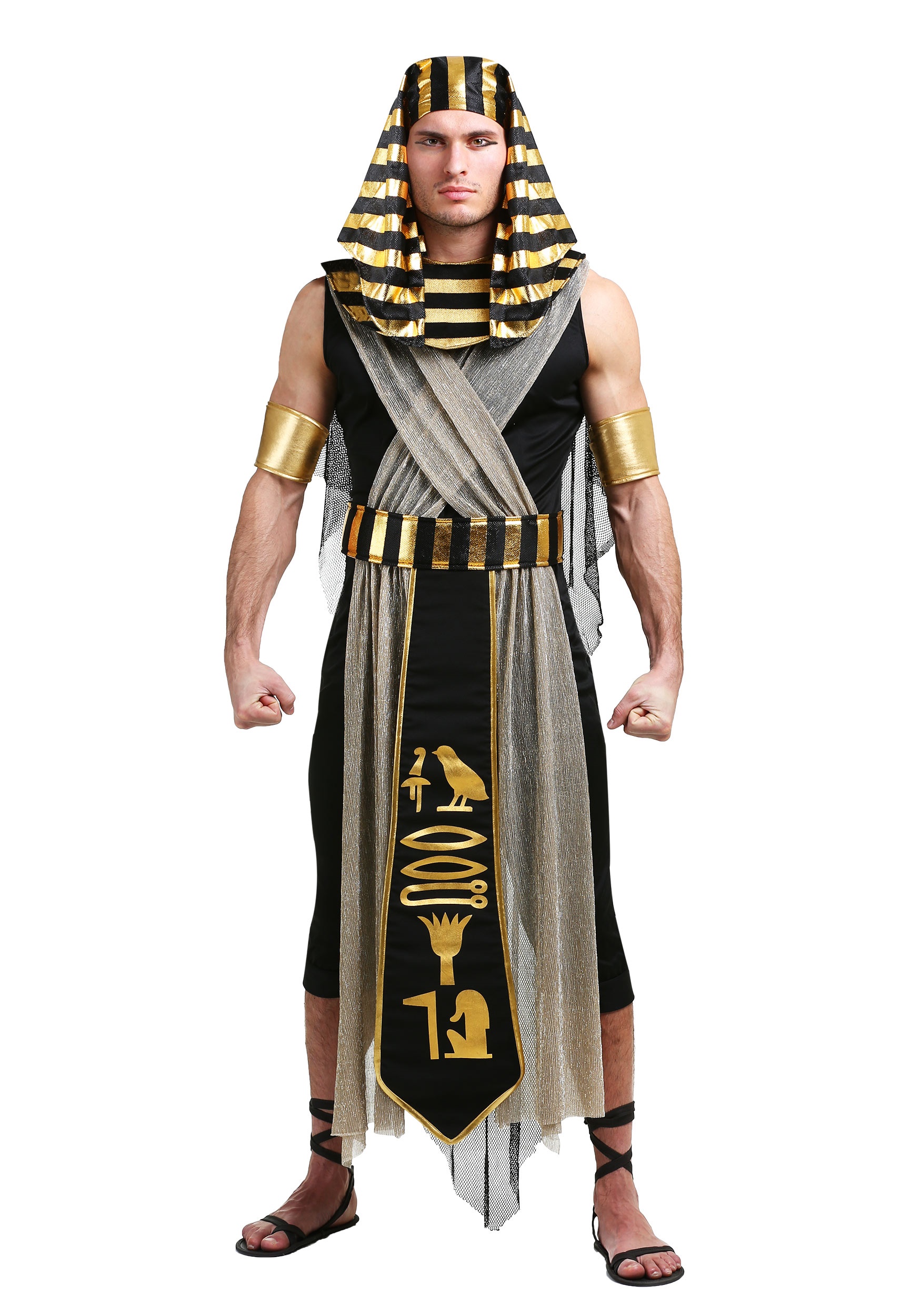 Photos - Fancy Dress Powerful FUN Costumes All  Pharaoh Plus Size Costume | Men's Plus Size Cost 