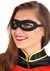 Adult DC Women's Robin Costume 55