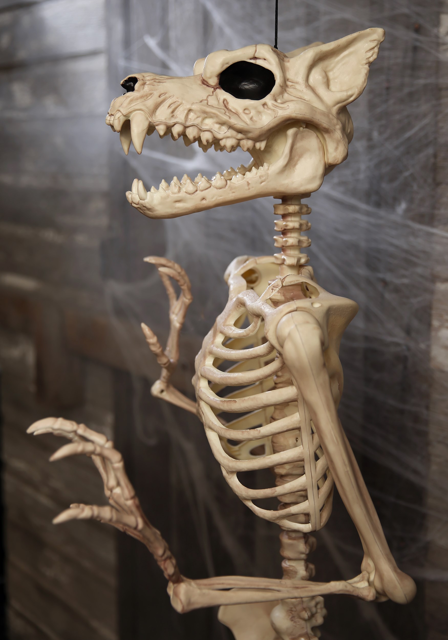 Howling Bonez Animated Dog Skeleton Prop