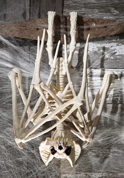 36'' Nocturnal Bat Skeleton UPD 2