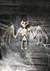Nocturnal Bat Skeleton 36'' Decoration Alt 1 UPD