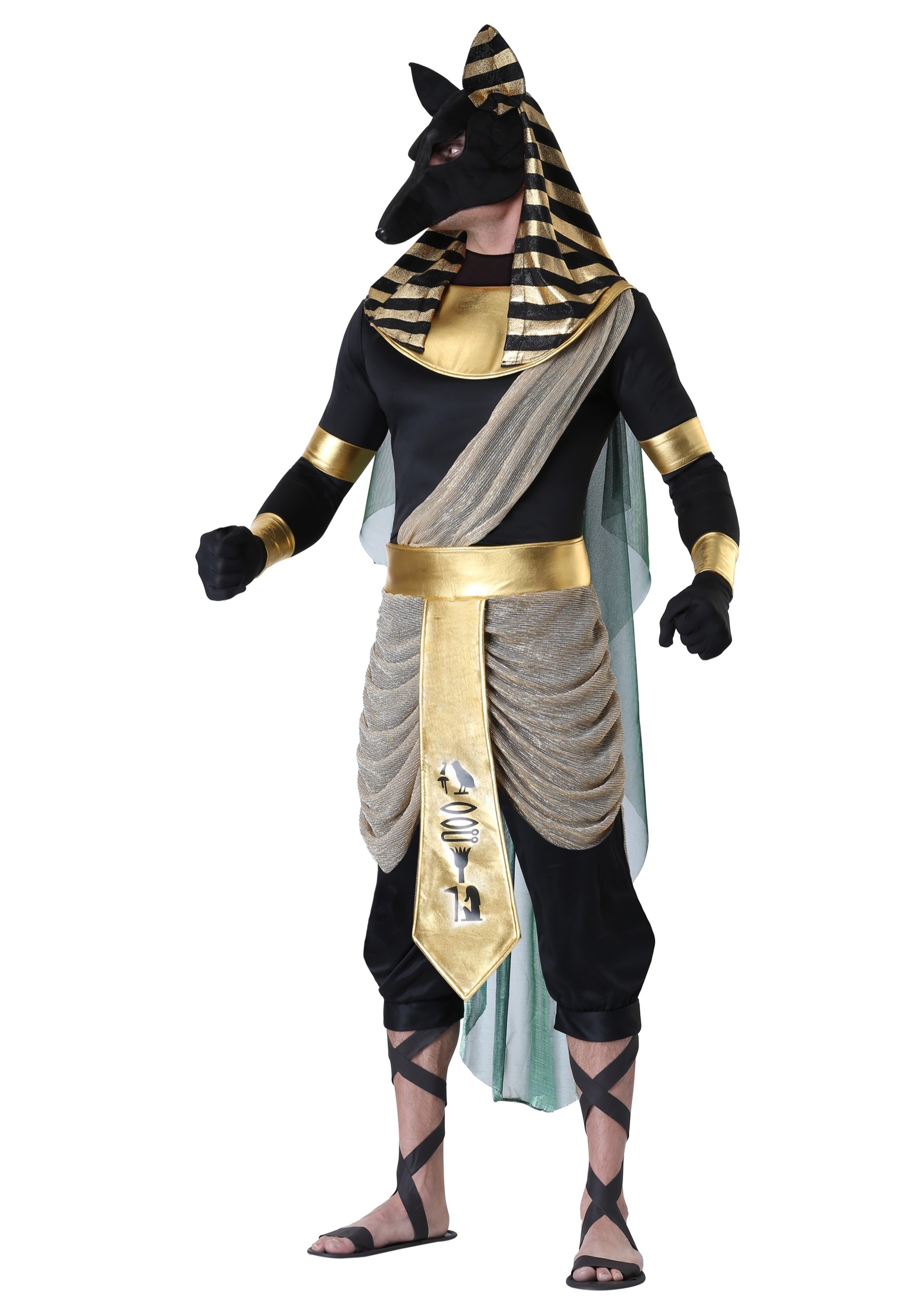 Photos - Fancy Dress FUN Costumes Anubis Adult Costume | Egyptian Halloween Costumes Black/