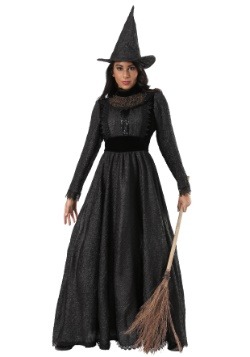Deluxe Adult Wicked Witch
