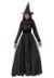 Deluxe Wicked Plus Size Witch Costume Alt 2