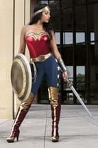 DC Wonder Woman Adult Costume alt 1 update