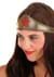 DC Wonder Woman Adult Costume alt 6