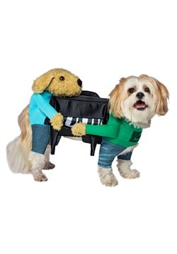 Pet Dogs Carrying Piano Costume