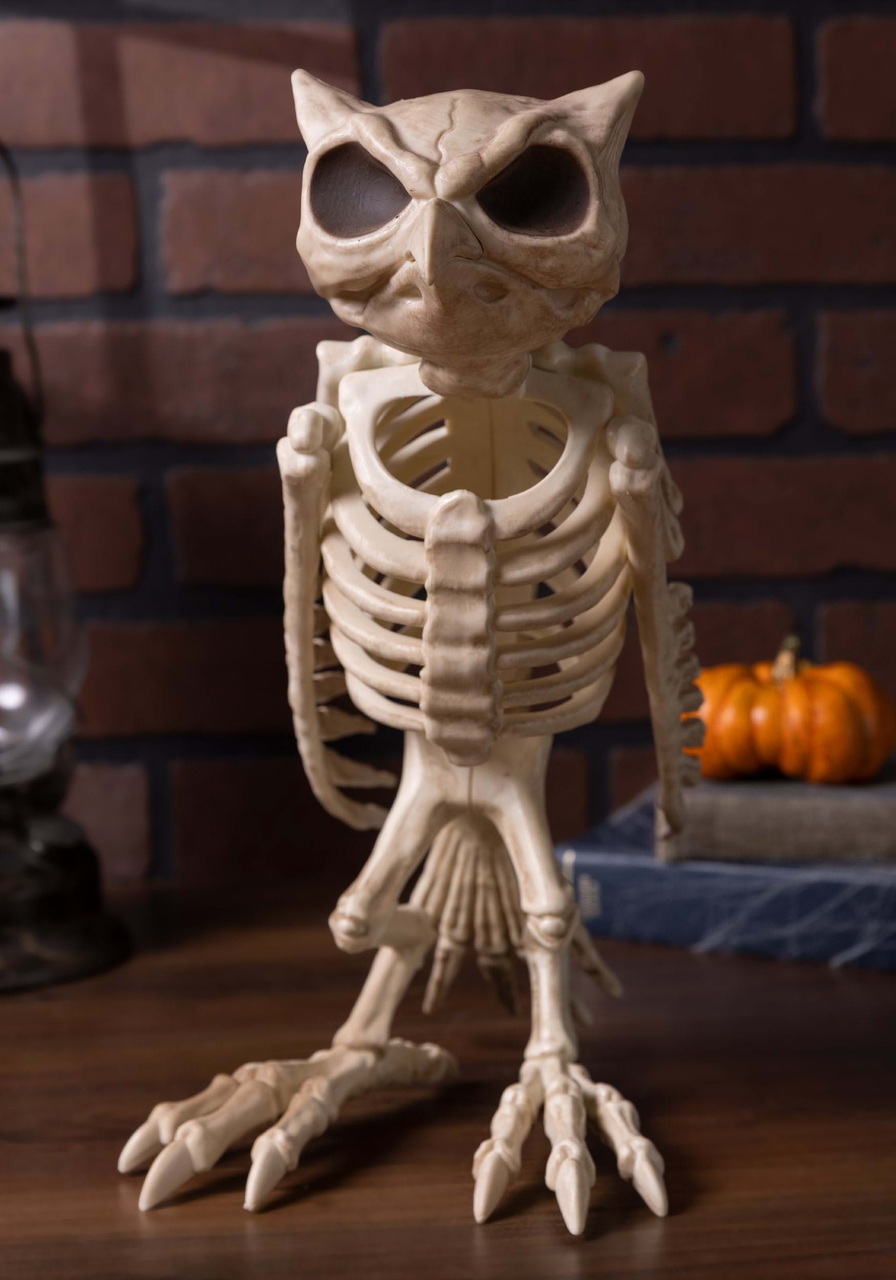 Halloween Owl Skeleton Decoration