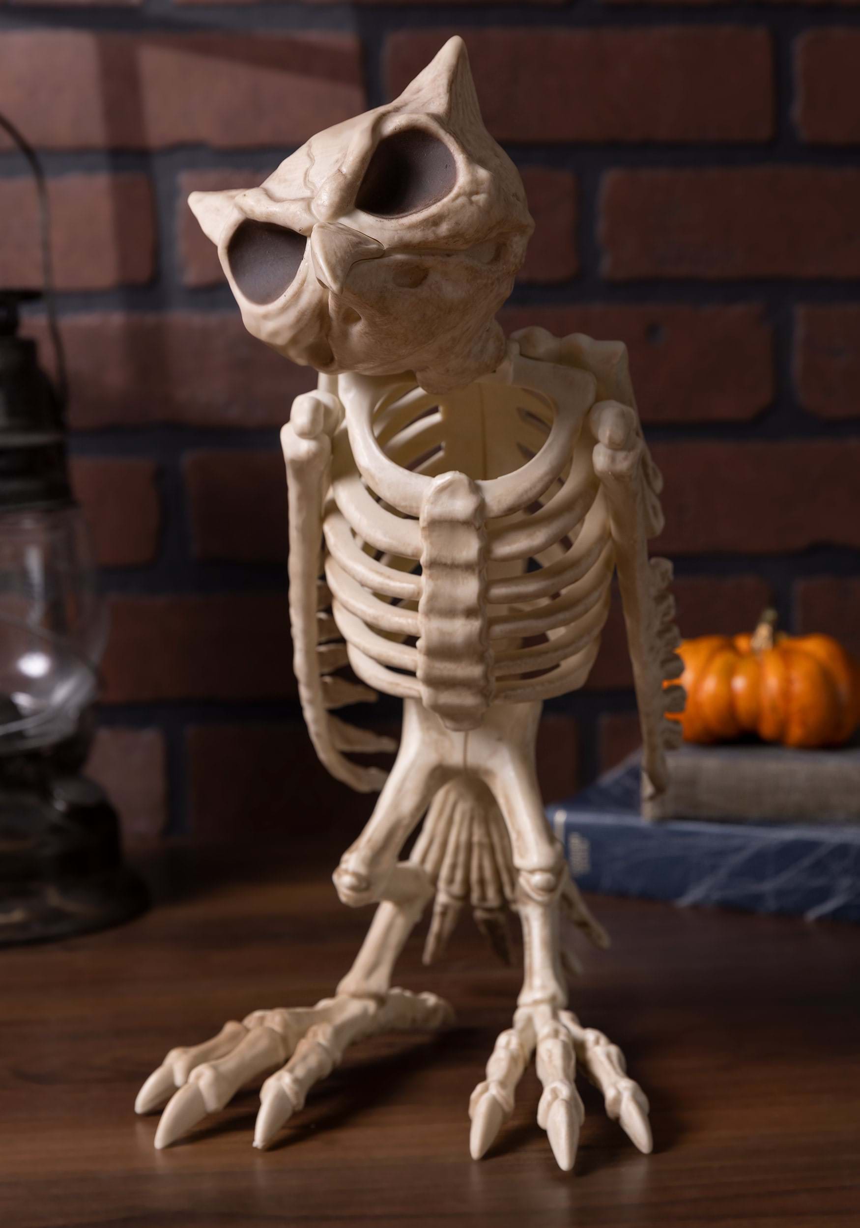 Halloween Owl Skeleton Decoration