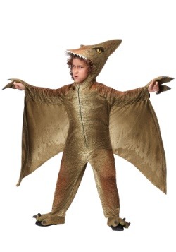 Kids Pterodactyl Costume