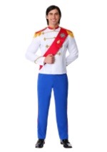 Mens Charming Prince Costume Alt 1