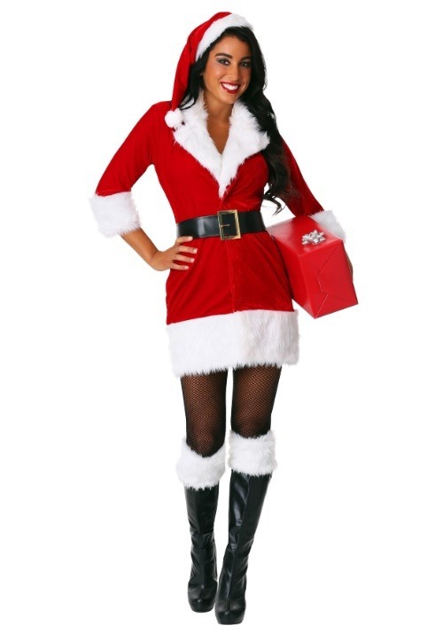 Womens Plus Size Secret Santa Costume