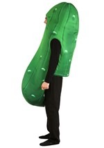 Adult Pickle Costume Alt 2