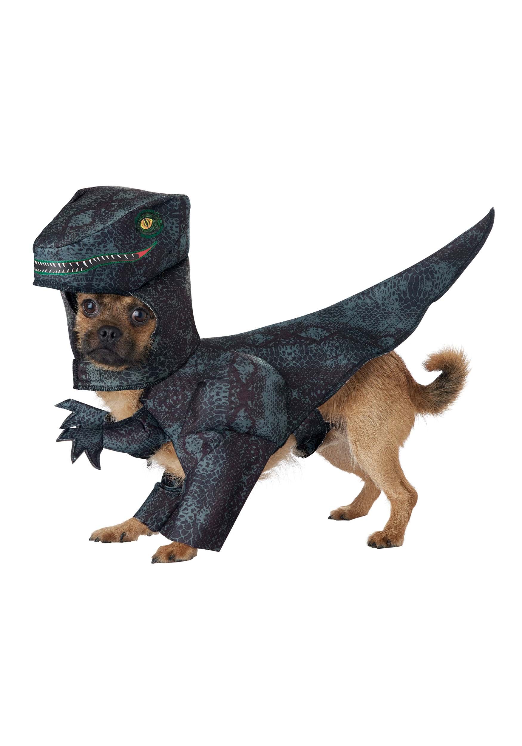 Pupasaurus Rex Dog Costume