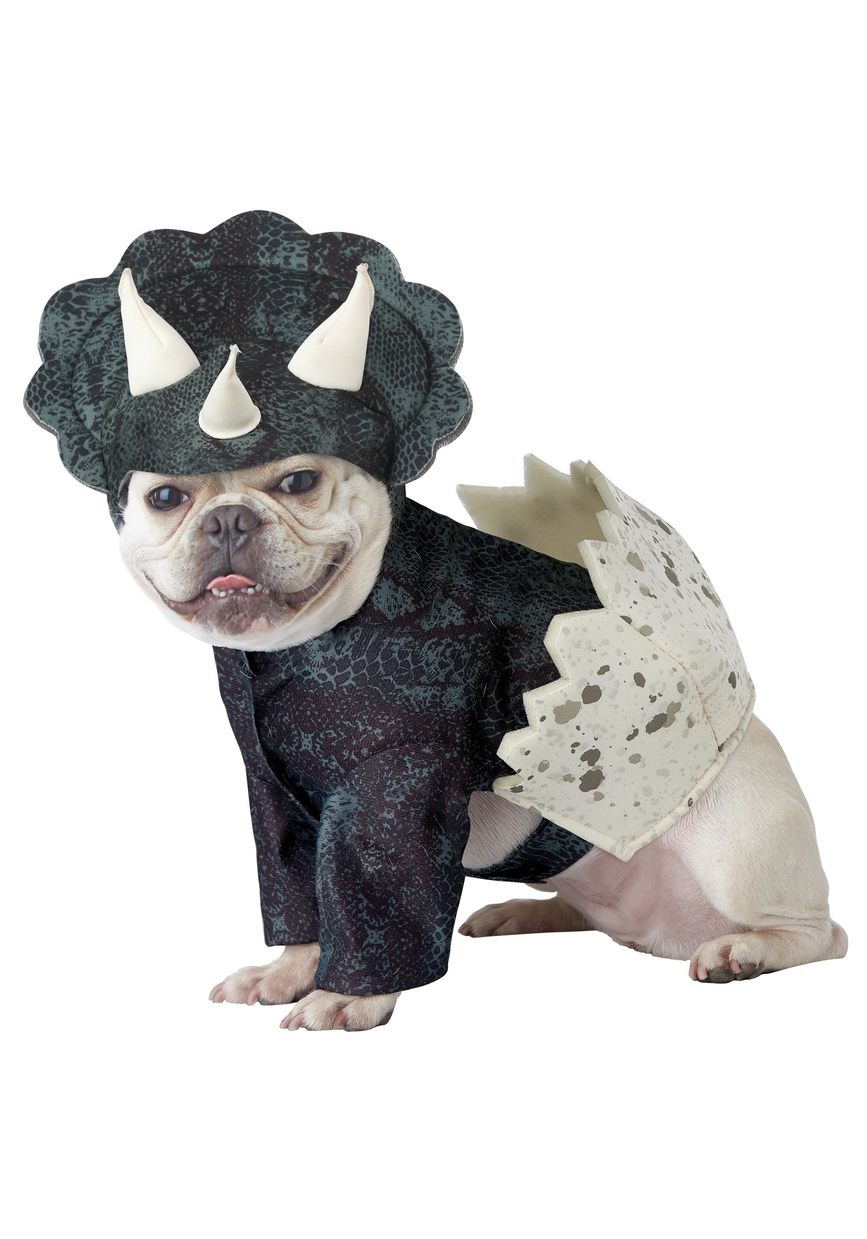 Dog Dino Pup Hatchling Costume