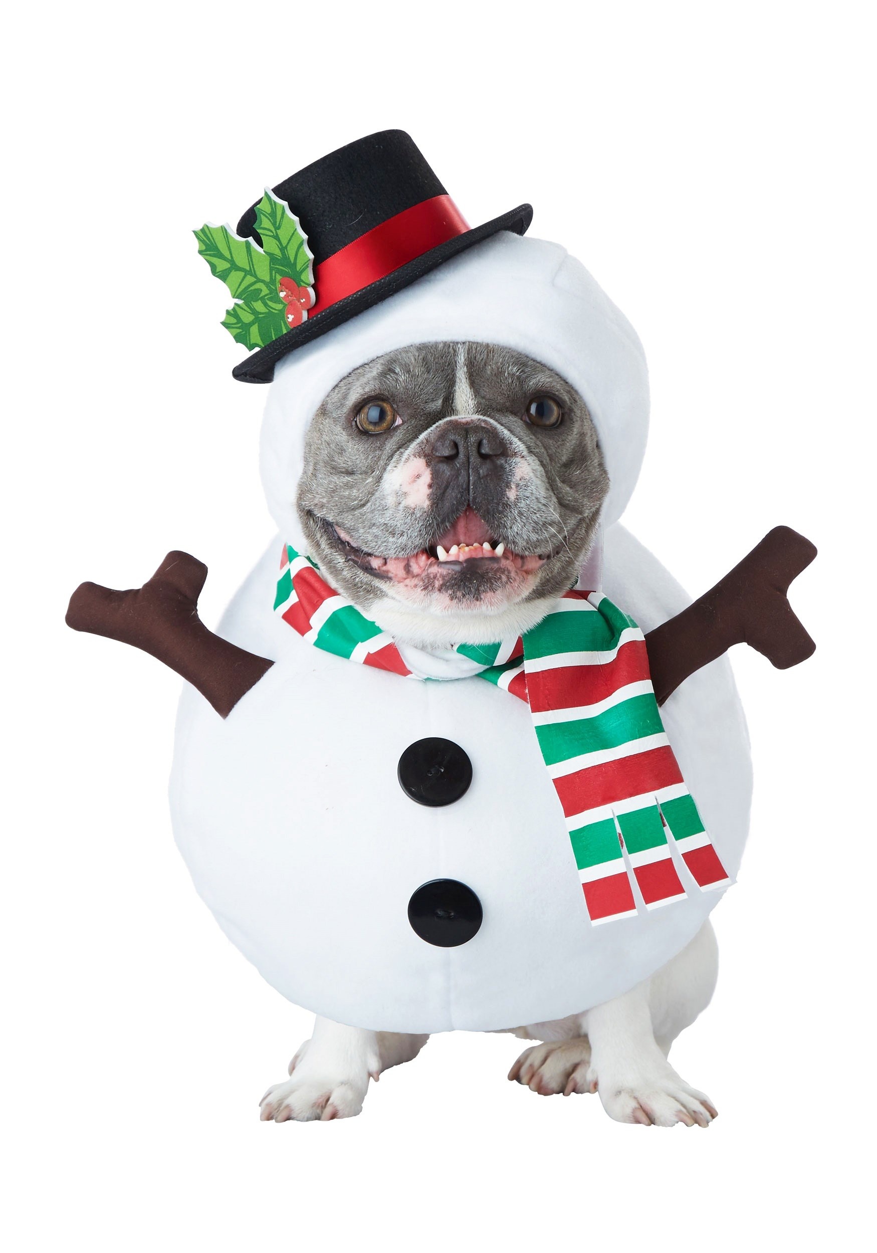 Photos - Fancy Dress California Costume Collection Snowman Dog Costume Green/Red/White 