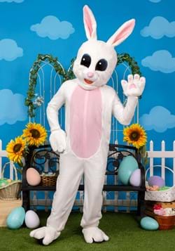 Adult Mascot Easter Bunny Costume
