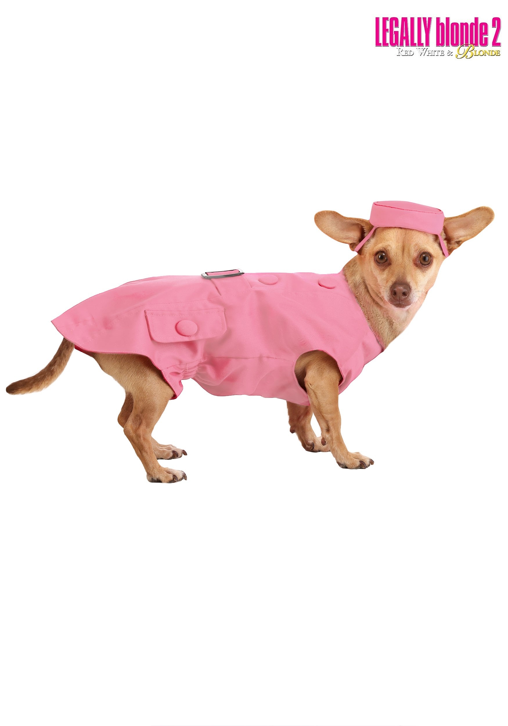 NFL Pink Dog Costumes