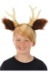 Deer Headband with Antlers and Ears Alt 1