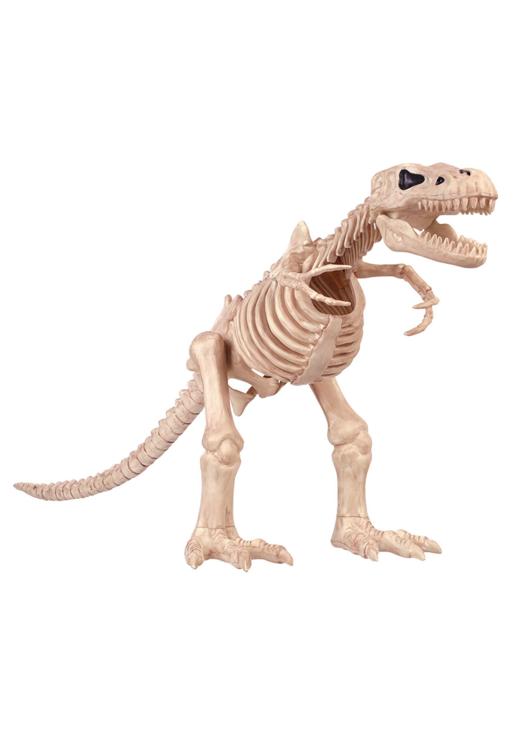Photos - Other interior and decor T-Rex Seasons (HK) Ltd.  16 Inch Skeleton Decoration | Animal Skeleton Beig 
