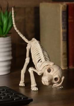 75 Puppy Skeleton