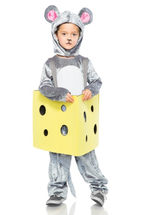 Kids Mouse Stuck in Cheese Costume