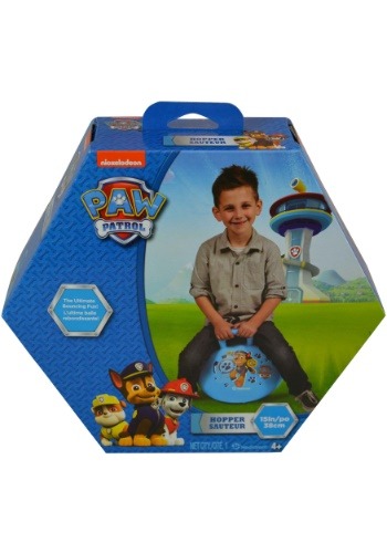 paw patrol 15 inch big wheel