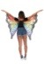 Rainbow Butterfly Wings Alt 1