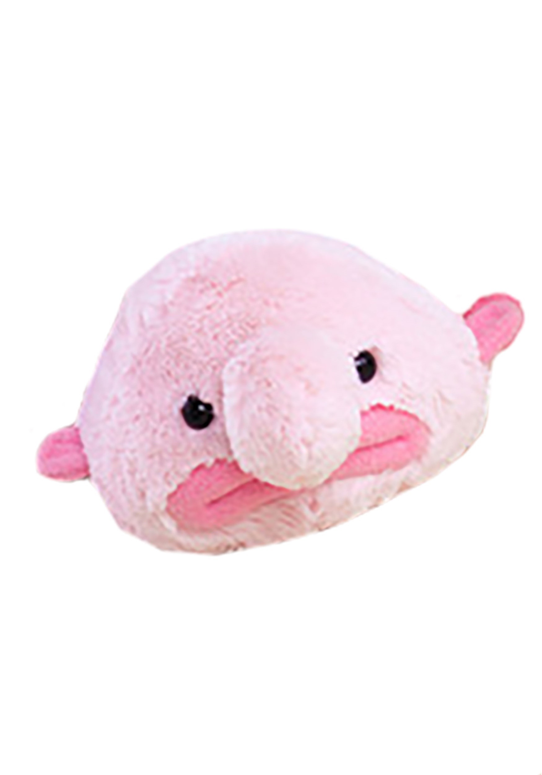 stuffed blobfish plush