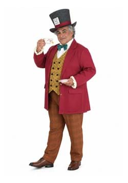 Plus Size Mad Hatter Men's Costume upd