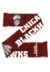 Chicago Blackhawks Wordmark Big Logo Colorblend Scarf alt1