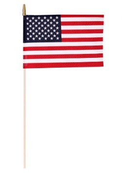 Two 8" x 12" Stick US Flags