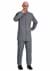 Deluxe Gray Suit Costume for Men | Austin Powers Costumes