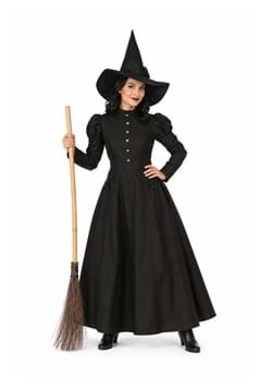 Deluxe Witch Womens Costume New Main