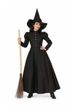 Deluxe Witch Womens Costume New Main