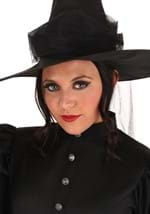 Women's Witch Deluxe Costume Alt 6