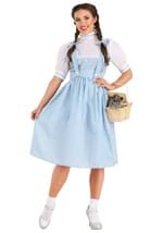 Kansas Girl Long Dress Costume