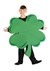 Four Leaf Clover Mascot Costume