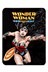 Wonder Woman Flight Blanket alt 1