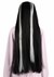 The Munsters Lily Wig for Women Alt 1