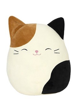 squishmallows cameron