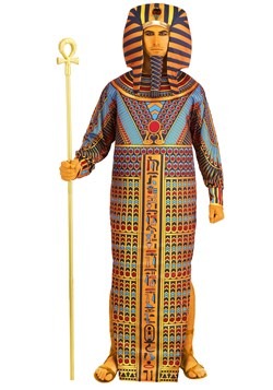 King Tut Adult Ancient Sarcophagus Costume